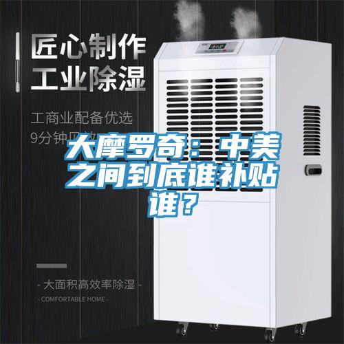 大摩羅奇：中美之間到底誰補(bǔ)貼誰？