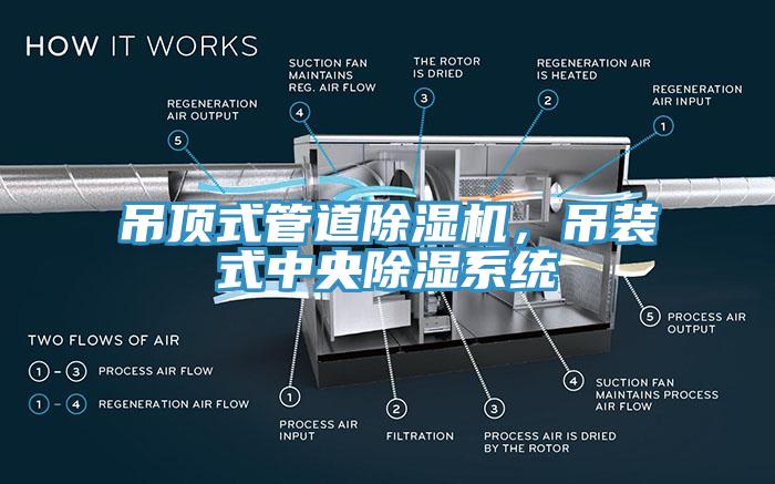 吊頂式管道除濕機，吊裝式中央除濕系統(tǒng)