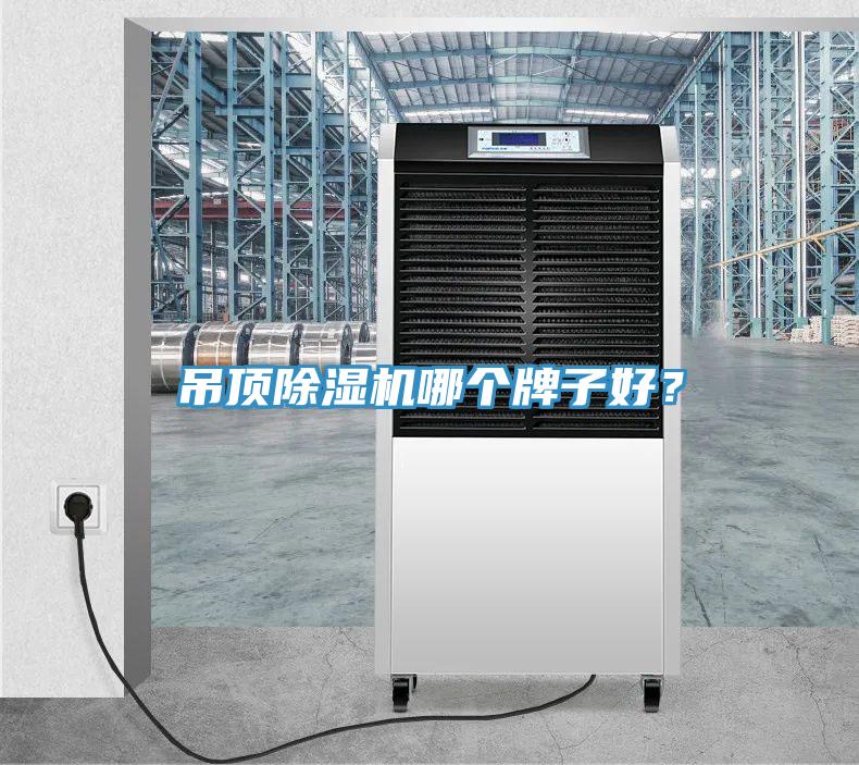 吊頂除濕機(jī)哪個牌子好？