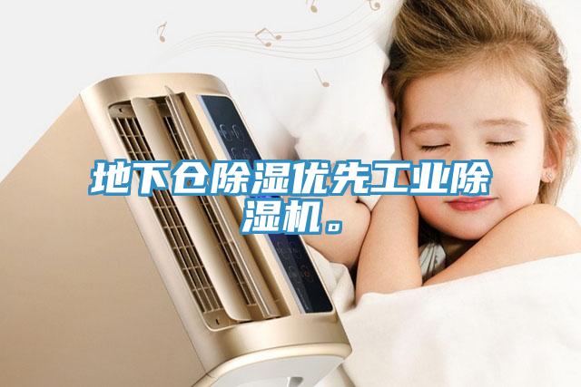 地下倉(cāng)除濕優(yōu)先工業(yè)除濕機(jī)。