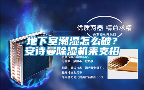 地下室潮濕怎么破？安詩曼除濕機(jī)來支招