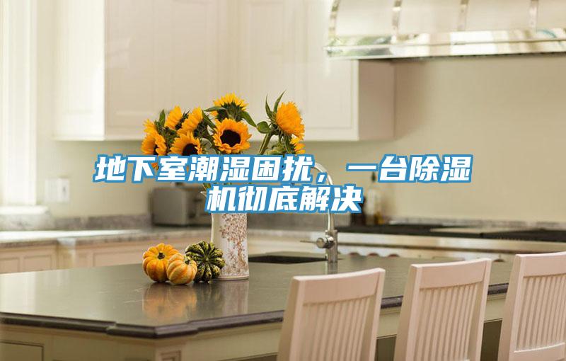 地下室潮濕困擾，一臺(tái)除濕機(jī)徹底解決