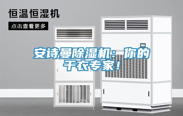 安詩曼除濕機(jī)：你的干衣專家！