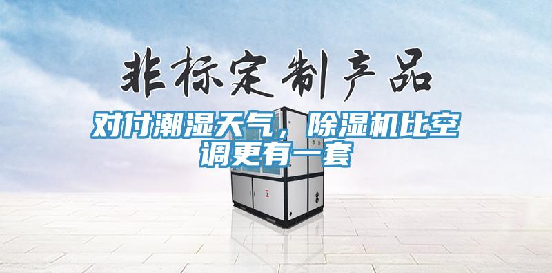 對付潮濕天氣，除濕機比空調(diào)更有一套