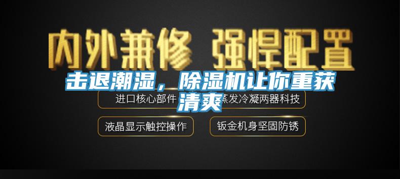 擊退潮濕，除濕機(jī)讓你重獲清爽