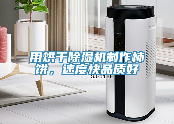 用烘干除濕機(jī)制作柿餅，速度快品質(zhì)好