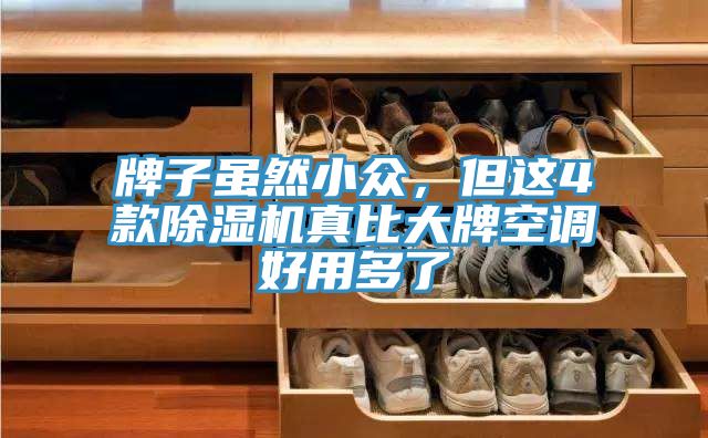 牌子雖然小眾，但這4款除濕機(jī)真比大牌空調(diào)好用多了