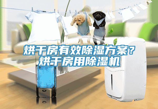 烘干房有效除濕方案？烘干房用除濕機(jī)