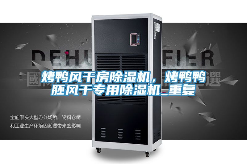 烤鴨風(fēng)干房除濕機(jī)，烤鴨鴨胚風(fēng)干專用除濕機(jī)_重復(fù)