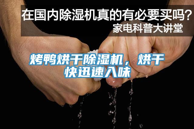 烤鴨烘干除濕機(jī)，烘干快迅速入味