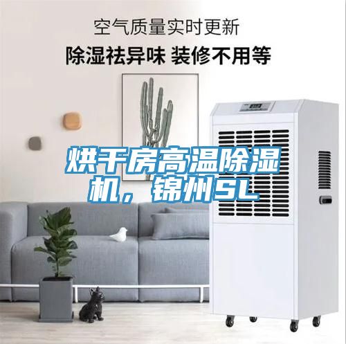 烘干房高溫除濕機(jī)，錦州SL