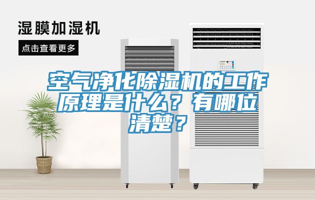 空氣凈化除濕機的工作原理是什么？有哪位清楚？