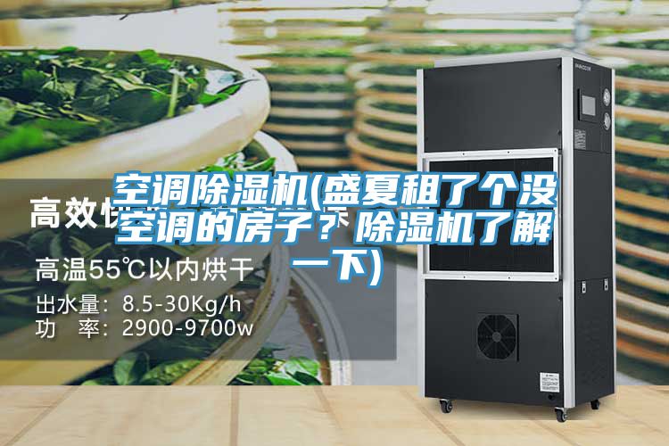 空調(diào)除濕機(jī)(盛夏租了個沒空調(diào)的房子？除濕機(jī)了解一下)