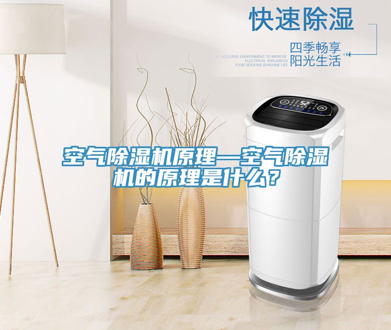 空氣除濕機(jī)原理—空氣除濕機(jī)的原理是什么？