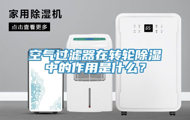 空氣過濾器在轉(zhuǎn)輪除濕中的作用是什么？