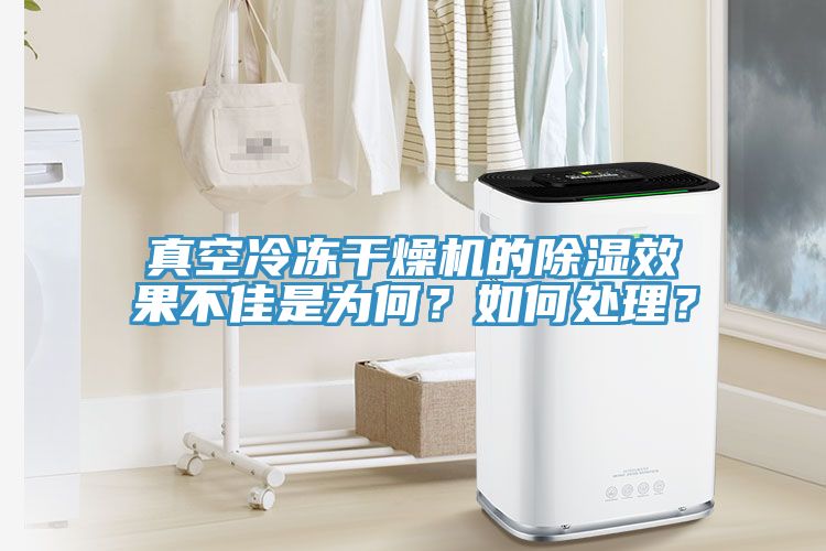 真空冷凍干燥機(jī)的除濕效果不佳是為何？如何處理？