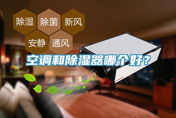 空調(diào)和除濕器哪個好？