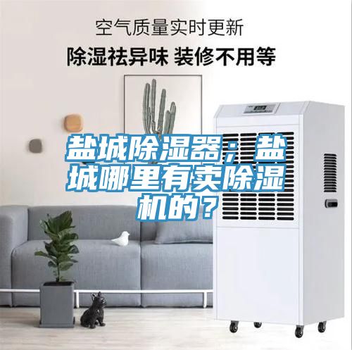 鹽城除濕器；鹽城哪里有賣除濕機(jī)的？