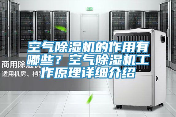 空氣除濕機(jī)的作用有哪些？空氣除濕機(jī)工作原理詳細(xì)介紹