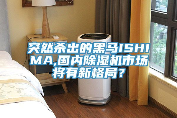 突然殺出的黑馬ISHIMA,國內(nèi)除濕機市場將有新格局？