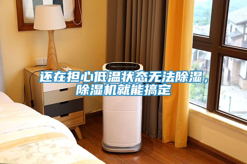 還在擔心低溫狀態(tài)無法除濕，除濕機就能搞定