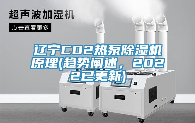 遼寧CO2熱泵除濕機(jī)原理(趨勢闡述，2022已更新)