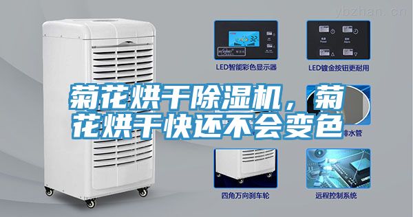 菊花烘干除濕機(jī)，菊花烘干快還不會(huì)變色