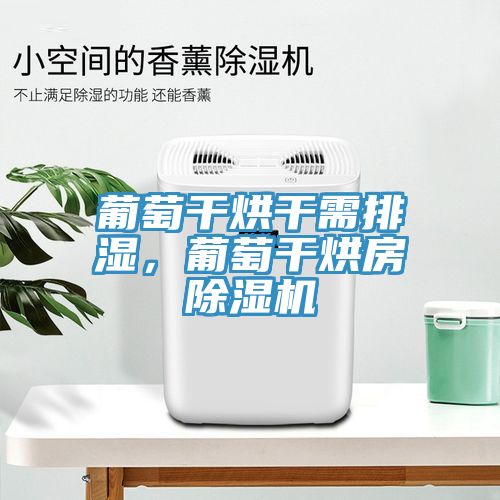 葡萄干烘干需排濕，葡萄干烘房除濕機