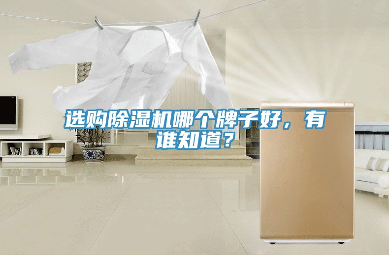 選購除濕機哪個牌子好，有誰知道？