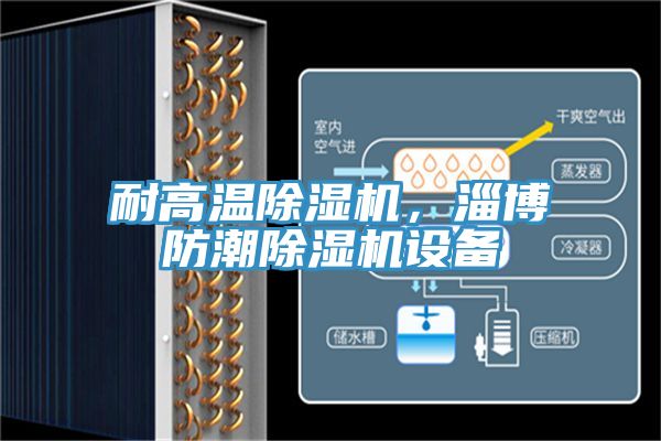 耐高溫除濕機(jī)，淄博防潮除濕機(jī)設(shè)備