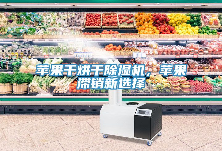 蘋(píng)果干烘干除濕機(jī)，蘋(píng)果滯銷(xiāo)新選擇