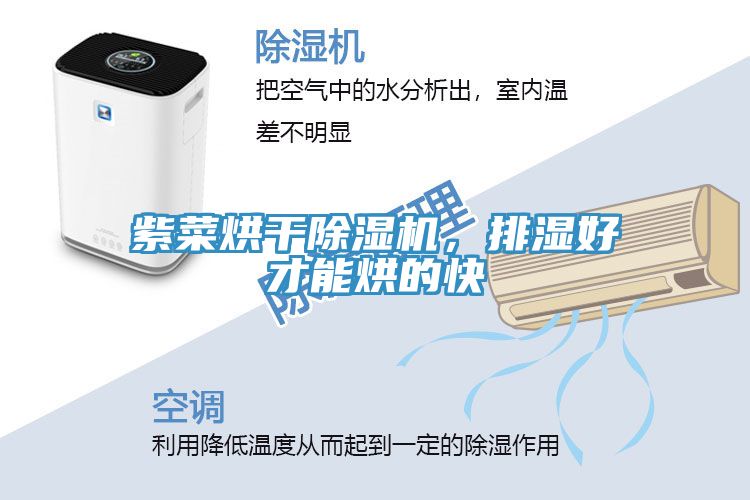 紫菜烘干除濕機(jī)，排濕好才能烘的快