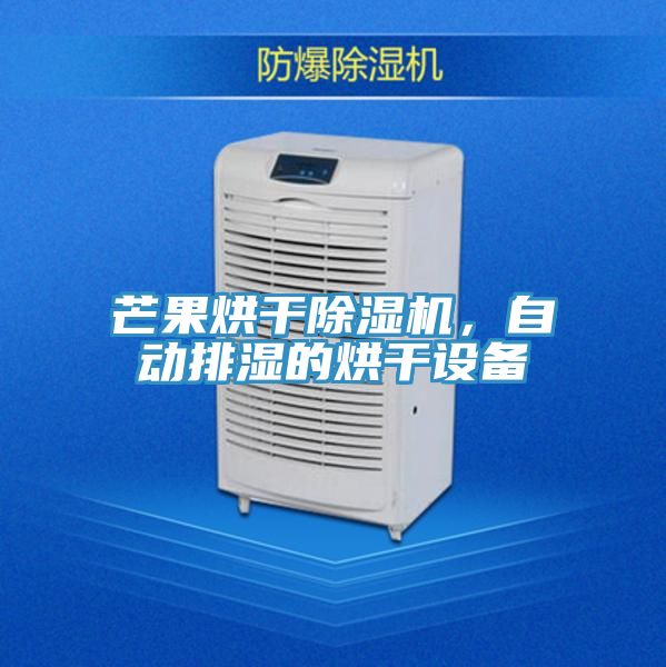 芒果烘干除濕機(jī)，自動排濕的烘干設(shè)備