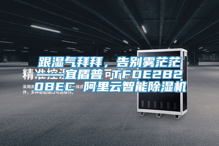 跟濕氣拜拜，告別霧茫?！硕芷?TFDE2B20BEC 阿里云智能除濕機(jī)