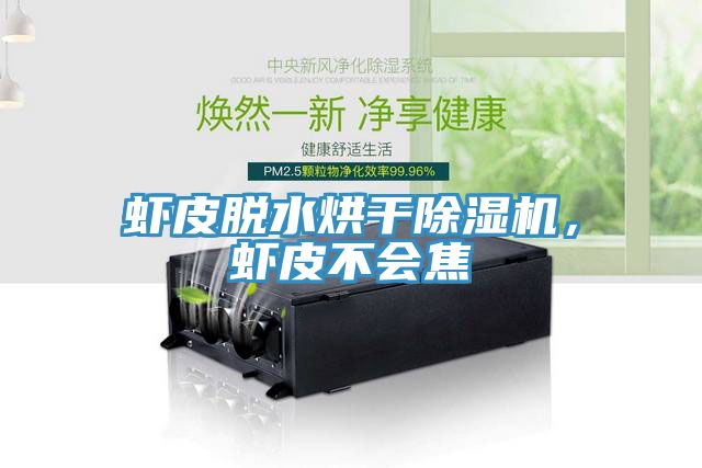 蝦皮脫水烘干除濕機，蝦皮不會焦