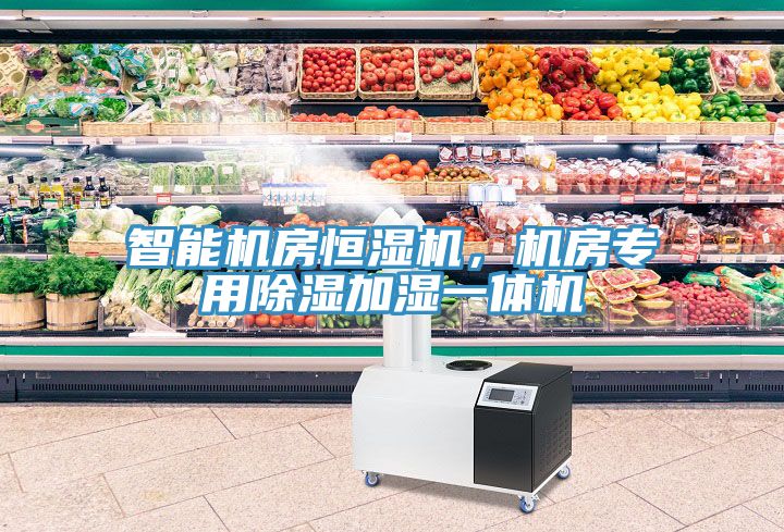 智能機房恒濕機，機房專用除濕加濕一體機