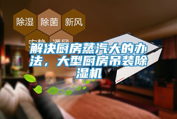解決廚房蒸汽大的辦法，大型廚房吊裝除濕機