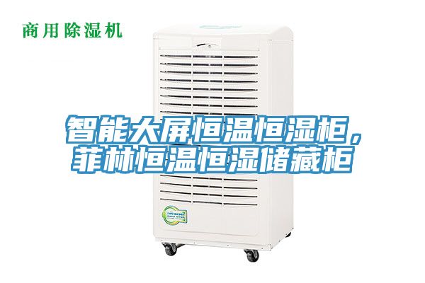 智能大屏恒溫恒濕柜，菲林恒溫恒濕儲(chǔ)藏柜