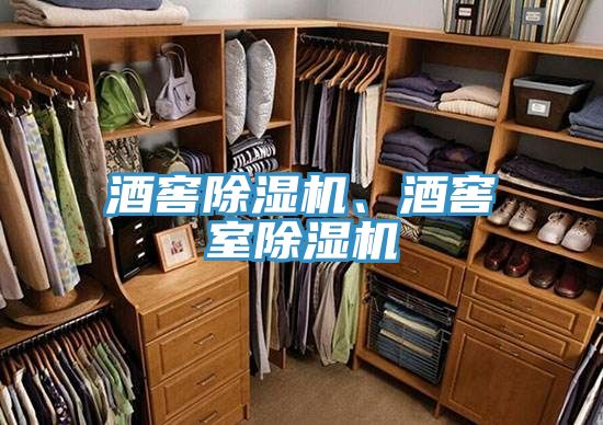 酒窖除濕機(jī)、酒窖室除濕機(jī)