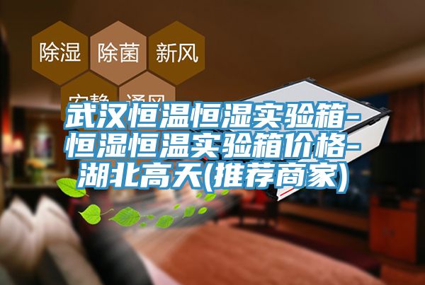 武漢恒溫恒濕實(shí)驗(yàn)箱-恒濕恒溫實(shí)驗(yàn)箱價格-湖北高天(推薦商家)