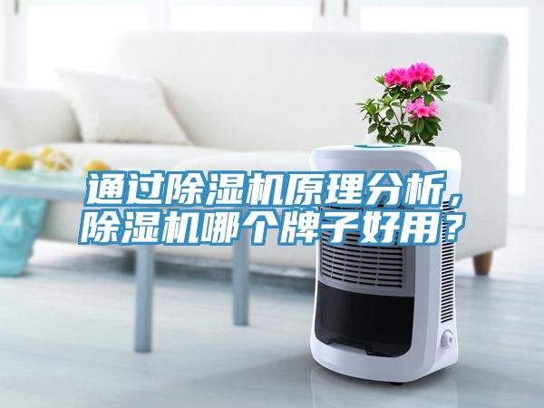 通過除濕機原理分析，除濕機哪個牌子好用？