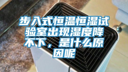 步入式恒溫恒濕試驗(yàn)室出現(xiàn)濕度降不下，是什么原因呢