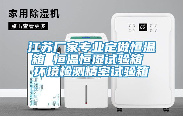 江蘇廠家專(zhuān)業(yè)定做恒溫箱 恒溫恒濕試驗(yàn)箱 環(huán)境檢測(cè)精密試驗(yàn)箱