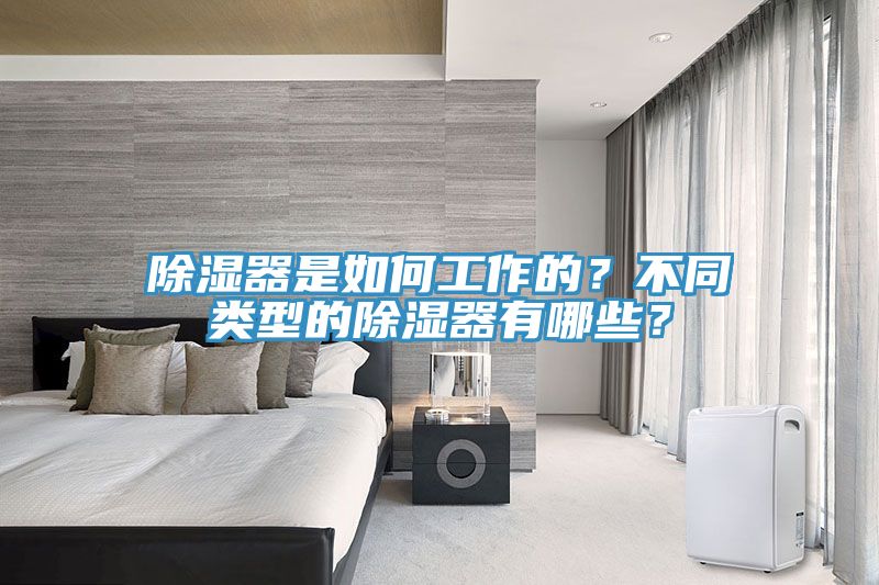 除濕器是如何工作的？不同類型的除濕器有哪些？