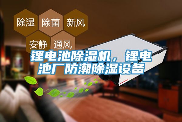 鋰電池除濕機(jī)，鋰電池廠防潮除濕設(shè)備