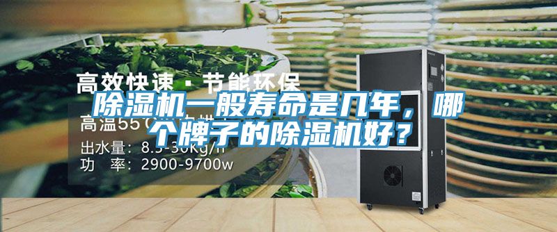 除濕機(jī)一般壽命是幾年，哪個牌子的除濕機(jī)好？