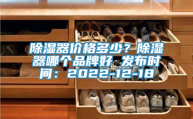 除濕器價(jià)格多少？除濕器哪個(gè)品牌好 發(fā)布時(shí)間：2022-12-18