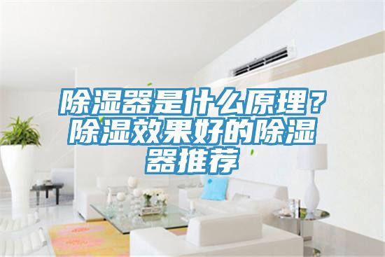 除濕器是什么原理？除濕效果好的除濕器推薦