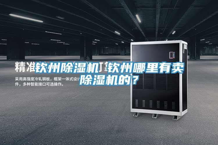 欽州除濕機 欽州哪里有賣除濕機的？