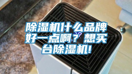 除濕機(jī)什么品牌好一點(diǎn)啊？想買臺(tái)除濕機(jī)!